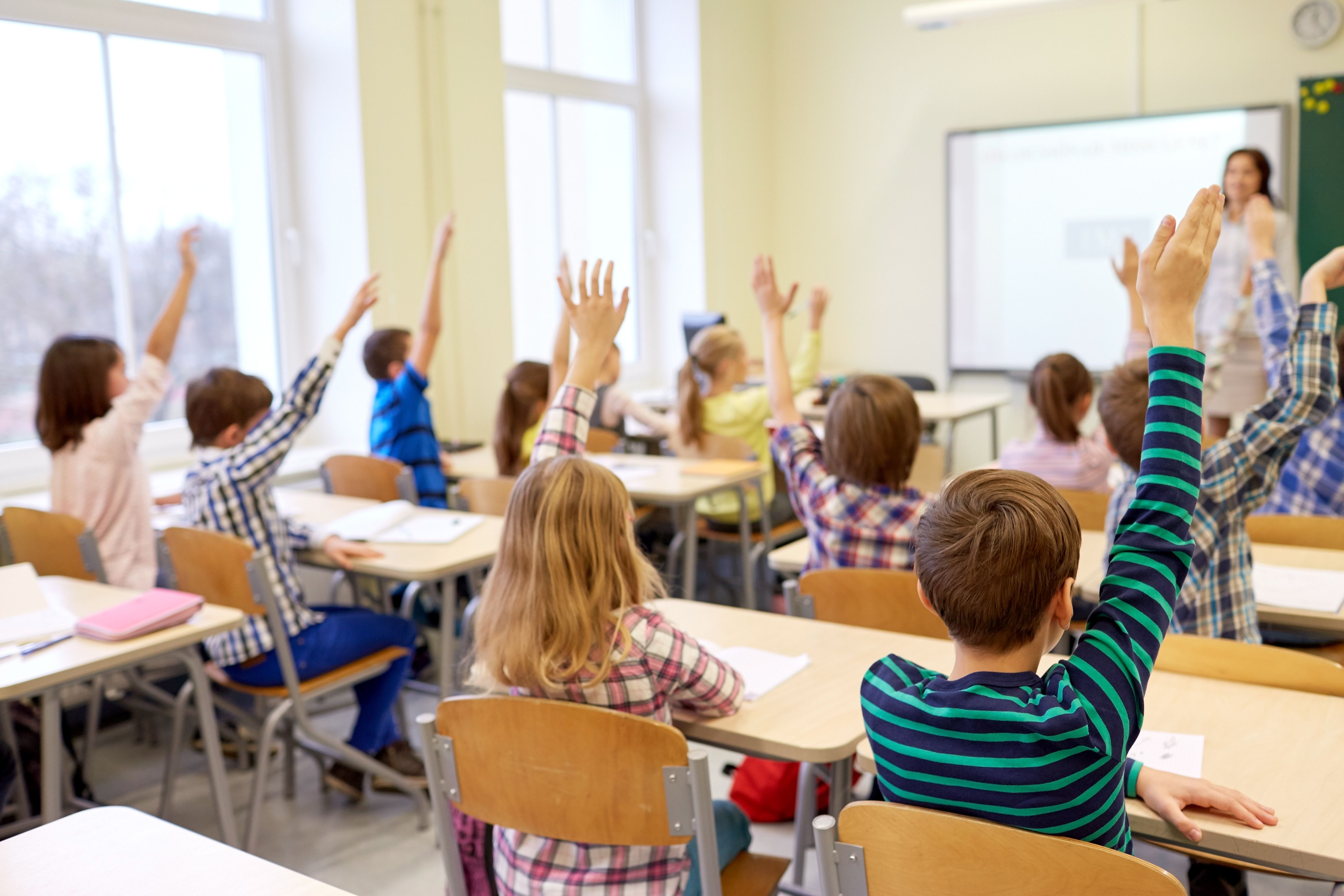 Turaath International School preview